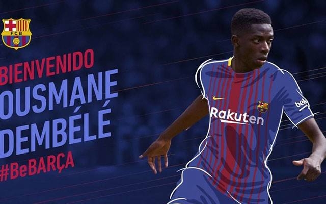 极强的适应 极强的适应